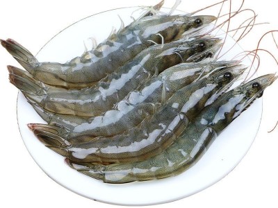 盐冻大虾白虾海虾单冻冷冻大虾对虾烧烤水产南美冻虾厄瓜多尔白虾图5