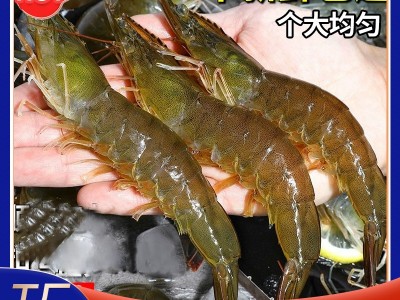 盐冻大虾白虾海虾单冻冷冻大虾对虾烧烤水产南美冻虾厄瓜多尔白虾图2