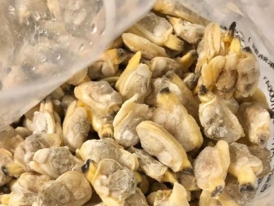 花甲肉蛤蜊肉无沙花甲肉文蛤贝壳肉嘎啦肉海产无沙黄蚬子蛤蜊肉图3