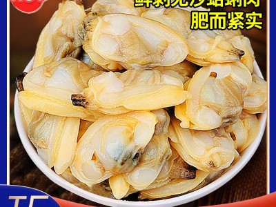 花甲肉蛤蜊肉无沙花甲肉文蛤贝壳肉嘎啦肉海产无沙黄蚬子蛤蜊肉图2