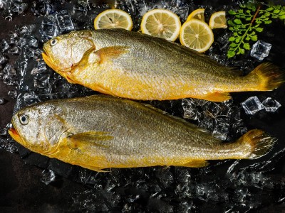 鲜冻大黄鱼新鲜生鲜鲜活冰鲜黄鱼海鱼宁德特产黄花鱼550g-650g装图2