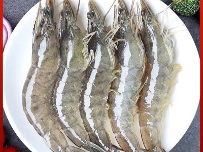 大号海虾2030海捕大虾3.3海鲜大虾厄瓜多尔白虾急冻锁鲜鲜活大虾图3