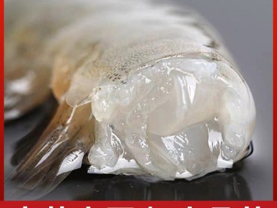 大号海虾2030海捕大虾3.3海鲜大虾厄瓜多尔白虾急冻锁鲜鲜活大虾图2