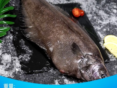 格陵兰比目鱼新鲜整条冷冻鸦片鱼深海鲜活鲽鱼海鲜水产大鲽鱼包邮图2