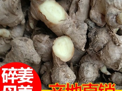 云南小黄姜碎姜母姜断姜泡脚沐足理疗养生工厂可批发零售一件代发图3
