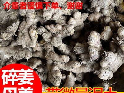 云南小黄姜碎姜母姜断姜泡脚沐足理疗养生工厂可批发零售一件代发图2