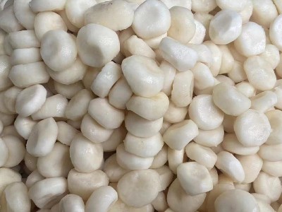 厂家直发荔浦马蹄丁速冻白马蹄荸荠去皮马蹄批发图3