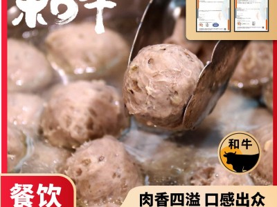 真牛馆和牛牛肉丸预制菜半成品冷冻生鲜潮汕工艺牛肉丸厂家批发图3
