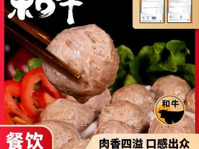 真牛馆和牛牛肉丸预制菜半成品冷冻生鲜潮汕工艺牛肉丸厂家批发图4
