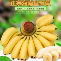 海南皇帝蕉新鲜香蕉5斤代发包邮当季孕妇水果帝王蕉皮薄小米蕉