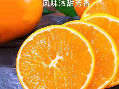 江西赣南脐橙5斤新鲜应季水果橙子正宗赣南脐橙图3
