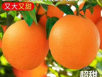 江西赣南脐橙5斤新鲜应季水果橙子正宗赣南脐橙图2