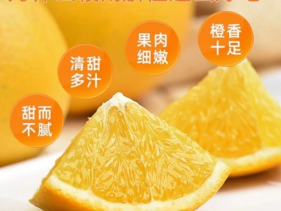 正宗江西赣南脐橙新鲜橙子江西赣南甜橙水果果冻鲜橙批发包邮图2
