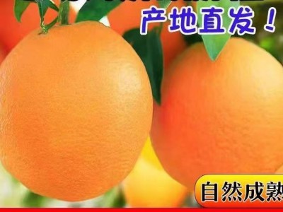 赣南脐橙新鲜橙子现摘现发产地直发江西赣南甜橙纯甜爆汁图2