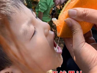 赣南脐橙新鲜应季水果超甜口感细腻爽口图4