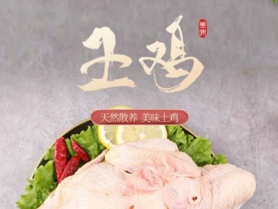 【熊哥特产店】生态土鸡 散养 农家自养无添加 现货批发图3