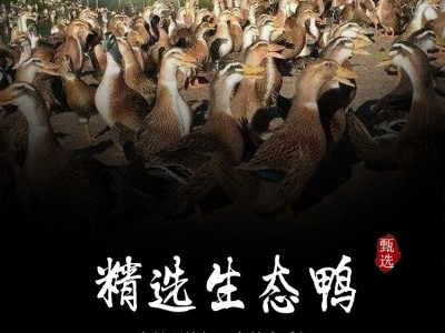 酱鸭散养麻鸭酱香鸭鄱阳湖特产生态鸭清蒸腊鸭微甜图3