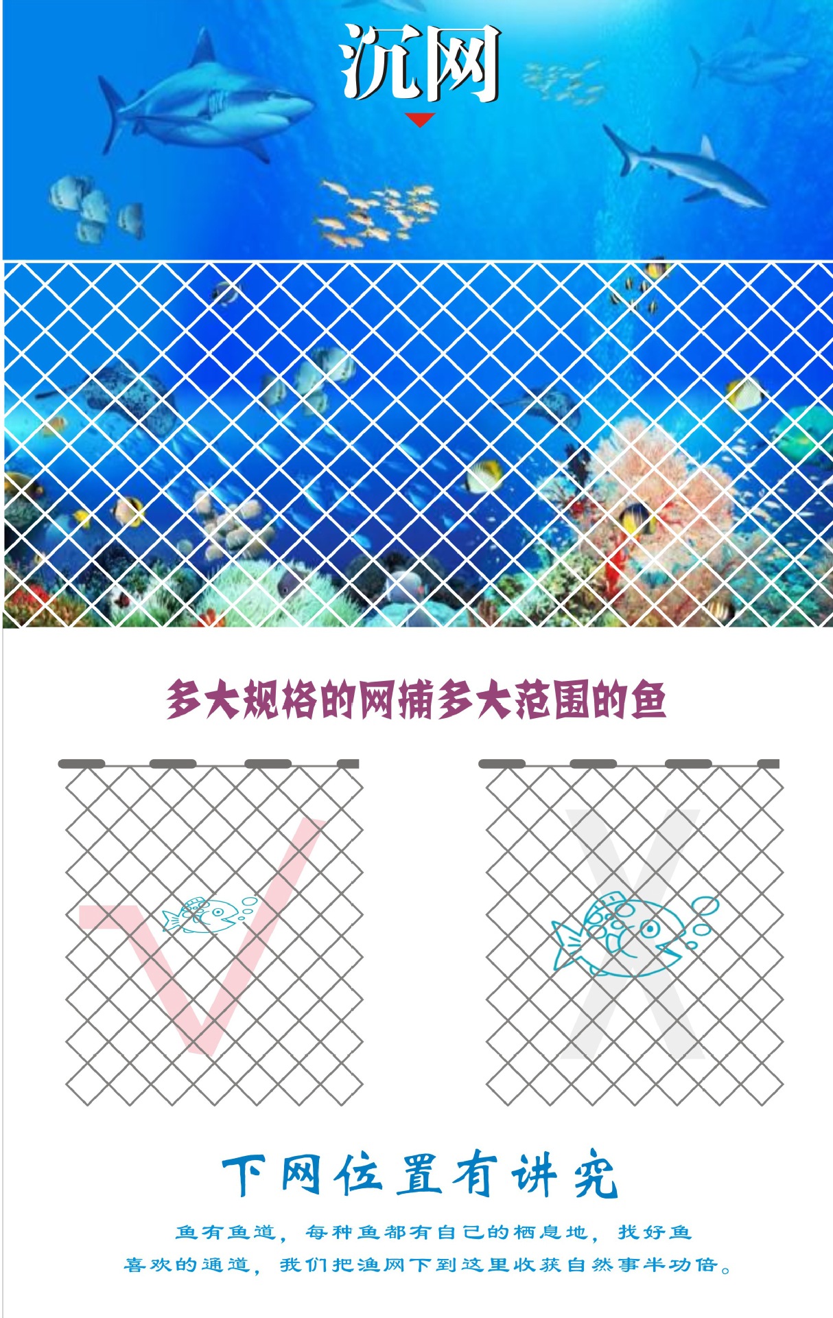 沉网