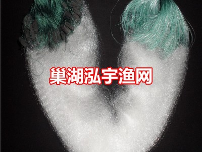 0.8米高1指5O米单层渔网（浮）/餐鱼白条网粘网丝网小鱼网批发图2
