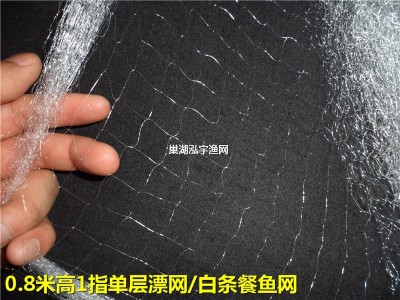 0.8米高1指5O米单层渔网（浮）/餐鱼白条网粘网丝网小鱼网批发图5
