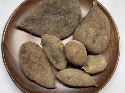 冷背中药材产地直供五倍子文蛤百虫仓木附子盐麸叶上毬子图2
