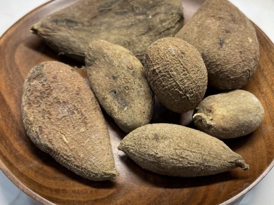冷背中药材产地直供五倍子文蛤百虫仓木附子盐麸叶上毬子图3