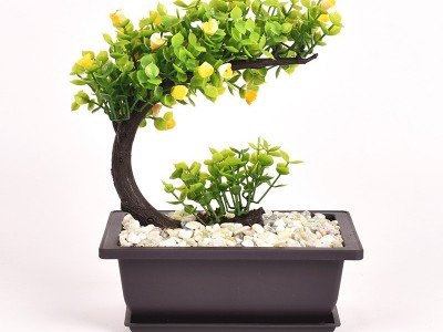 仿紫砂花盆 多肉花盆 正方形长方形塑料花盆 小盆栽小盆景种植盆图3
