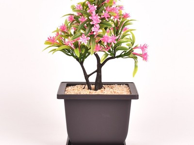 仿紫砂花盆 多肉花盆 正方形长方形塑料花盆 小盆栽小盆景种植盆图2