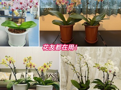 跨境美莳控根花盆塑料盆大花盆树脂盆创意透气双层仿瓷花盆批发图3