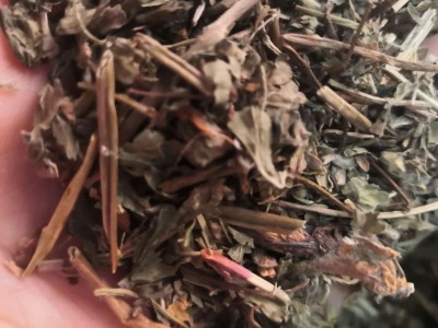 中药材莽草 春草 菵草 石桂 红桂 鼠莽 实物拍摄图3