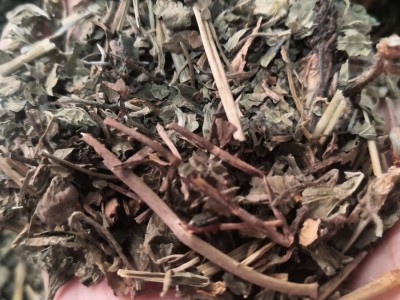 中药材莽草 春草 菵草 石桂 红桂 鼠莽 实物拍摄图2