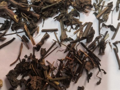 中药材莽草 春草 菵草 石桂 红桂 鼠莽 实物拍摄图5
