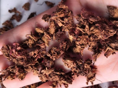 中药材凤仙花 批发零售凤仙花 指甲花 金凤花 洒金花 无硫新货图5