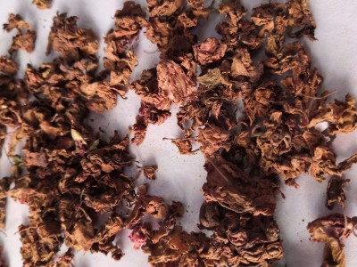 中药材凤仙花 批发零售凤仙花 指甲花 金凤花 洒金花 无硫新货图4