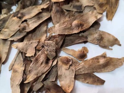 中药材凤眼草 椿荚 凤眼子 臭树铃铛 臭椿子 春铃子批发零售图5
