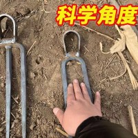刨地松土锻打锄头老款二齿锄头户外开荒镐头锄草开山工具锄三齿镐