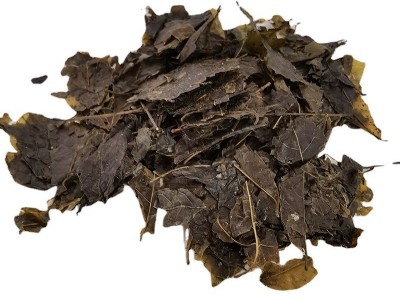 散装批发中药苦丁茶 苦丁果大叶苦丁茶源头厂家量大从优图4
