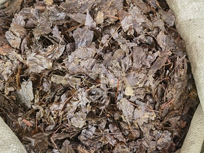 散装批发中药苦丁茶 苦丁果大叶苦丁茶源头厂家量大从优图3