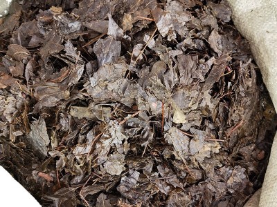 散装批发中药苦丁茶 苦丁果大叶苦丁茶源头厂家量大从优图2