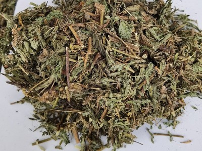 批发中草药 含羞草 含羞草根 知羞草 怕羞草 喝呼草 怕丑草图4