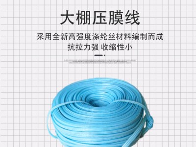 温室大棚配件压膜线 大棚压膜线 压膜带 压膜带 型号齐全图3