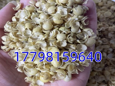现货供应大豆皮黄豆皮粗纤维饲料大豆皮家畜养殖饲料量大从优图2