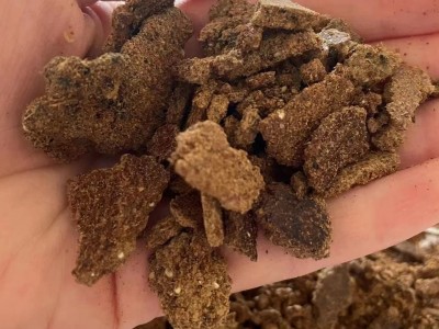 花生饼豆饼麸饼钓鱼打窝鱼饵熟榨野钓窝料菜籽饼方块鱼饵碎花生枯图4