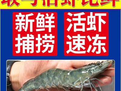 新鲜青岛大虾一箱鲜虾青虾冷冻基围虾超大虾子海鲜批发包邮图5