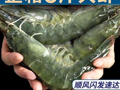 新鲜青岛大虾一箱鲜虾青虾冷冻基围虾超大虾子海鲜批发包邮图2