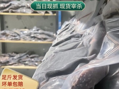 鲜活现杀麻辣小甲鱼卤甲鱼半成品商用去皮老鳖冷冻一整箱新鲜真空图4