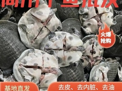 鲜活现杀麻辣小甲鱼卤甲鱼半成品商用去皮老鳖冷冻一整箱新鲜真空图5