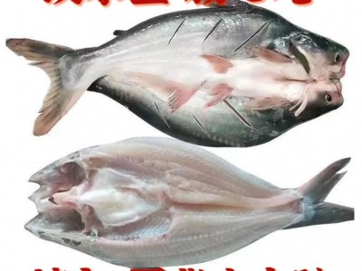 新鲜特级巴沙鱼鲜活冷冻整条开背湄公鱼龙利鮰鱼烤鱼非腌制整箱图2