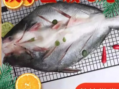 新鲜特级巴沙鱼鲜活冷冻整条开背湄公鱼龙利鮰鱼烤鱼非腌制整箱图3