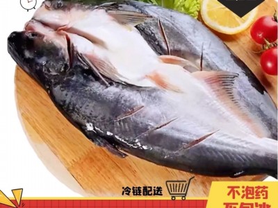 新鲜特级巴沙鱼鲜活冷冻整条开背湄公鱼龙利鮰鱼烤鱼非腌制整箱图4